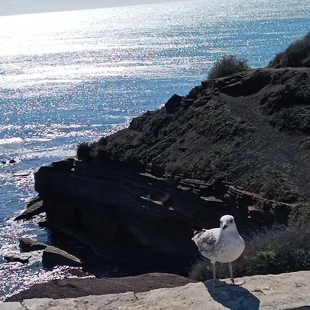 Lägenhet Au Cap ! Agde